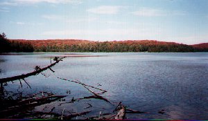Linda Lake